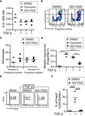 Pyrolyzed deketene curcumin controls regulatory T cell generation and gastric cancer metabolism cooperate with 2-deoxy-d-glucose